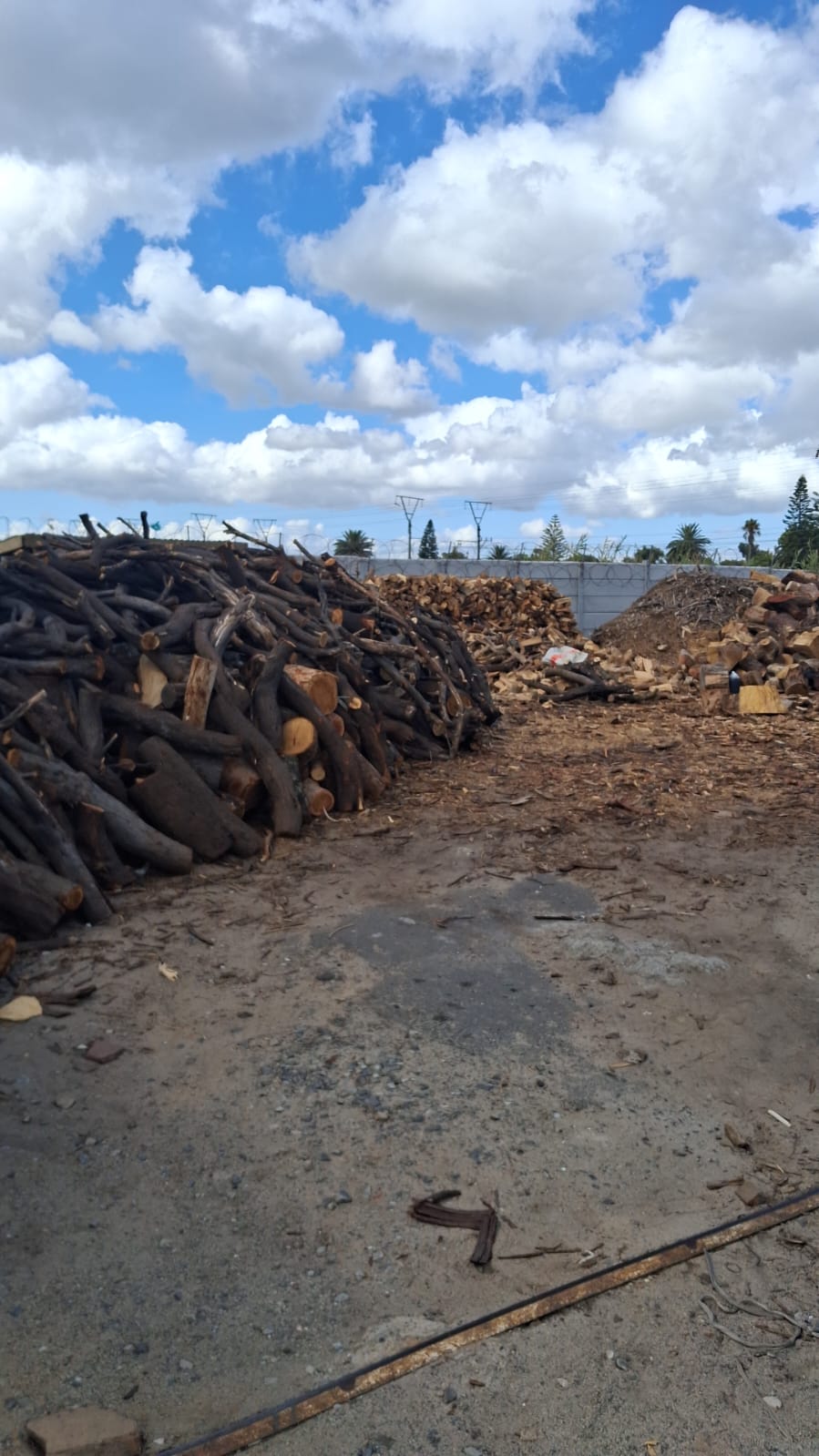 Pieter Gras Sny Logo